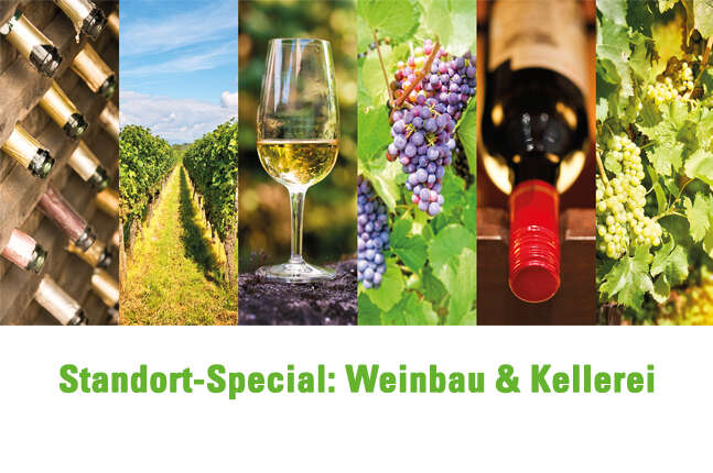 file 20220822 084754 716